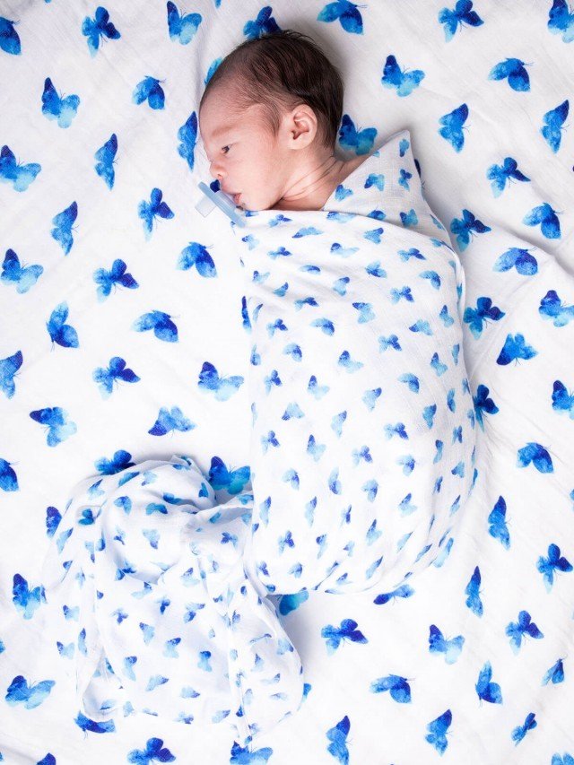 MALABAR baby 有機棉包巾 - 湛藍舞蝶